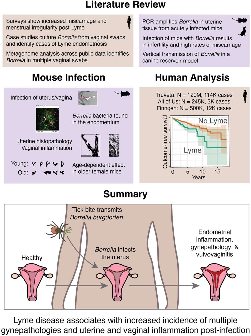 Figure from the preprint posted by Tal Research Group