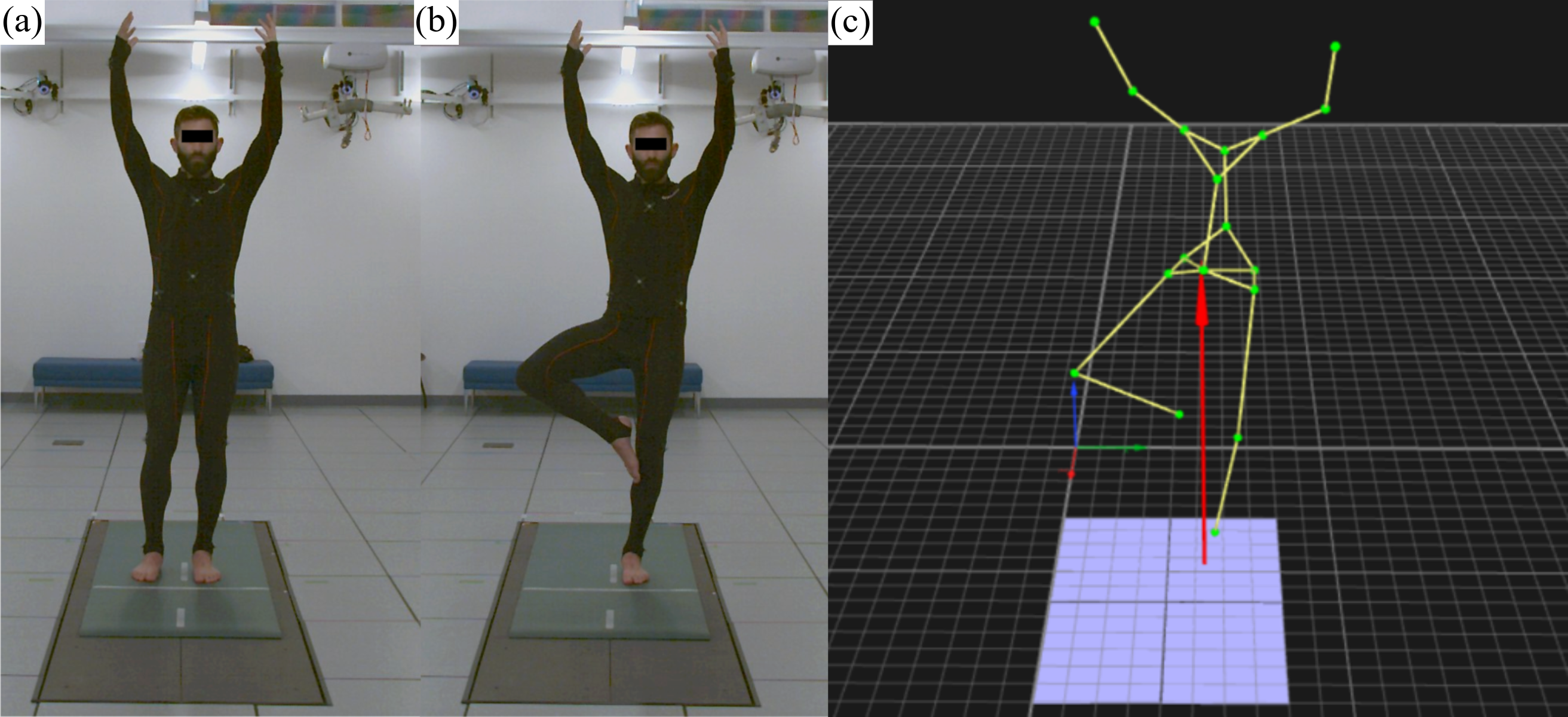 shows a participant actually performing the OLST on the force plates