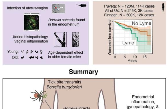 Figure from the preprint posted by Tal Research Group