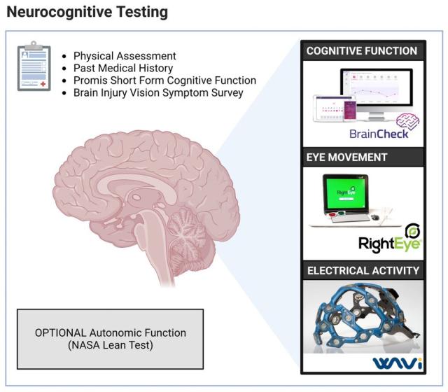 Components of neurocognitive testing graphic